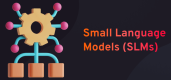 Category for Small Language Models (SLMs) Training in Colombia